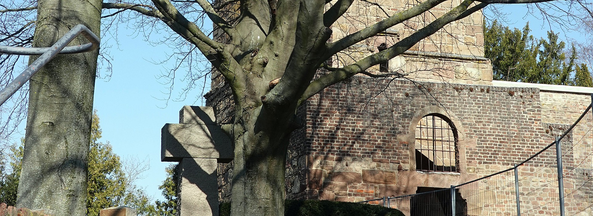 Symboldbild: Merzenich - König Umzüge - Ihr Profi für Umzüge aller Art im Rheinland, dem Rhein-Erftkreis, Köln und Köln-Umland